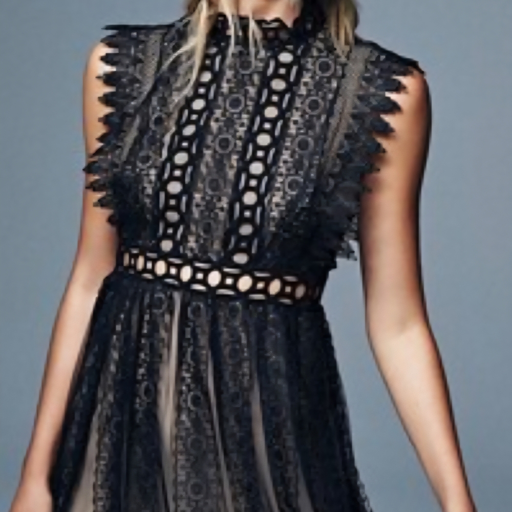 Free People Black Lace Dress